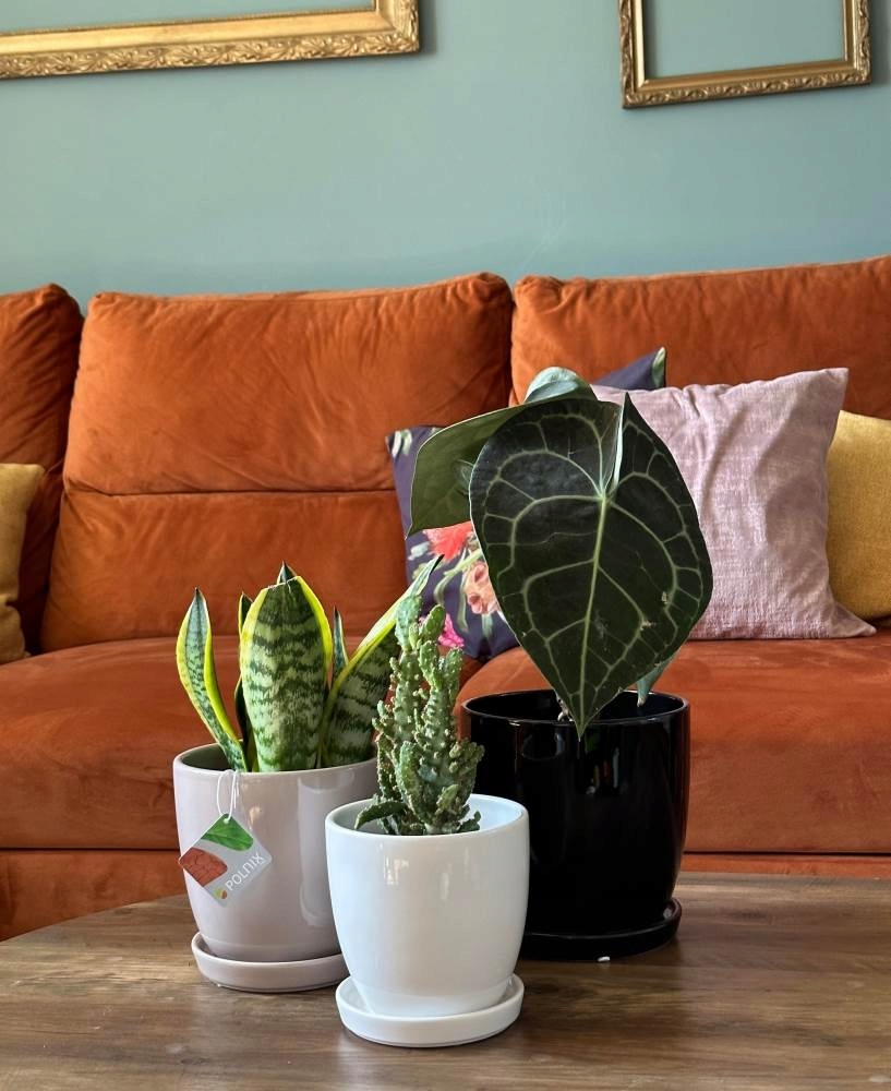 CERAMICZNA DONICZKA Z PODSTAWKIEM 15cm BIAŁA Kod producenta 15.001.15