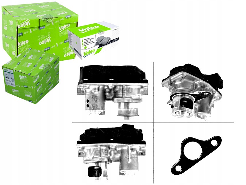 Ventil Egr Renault Scenic Valeo