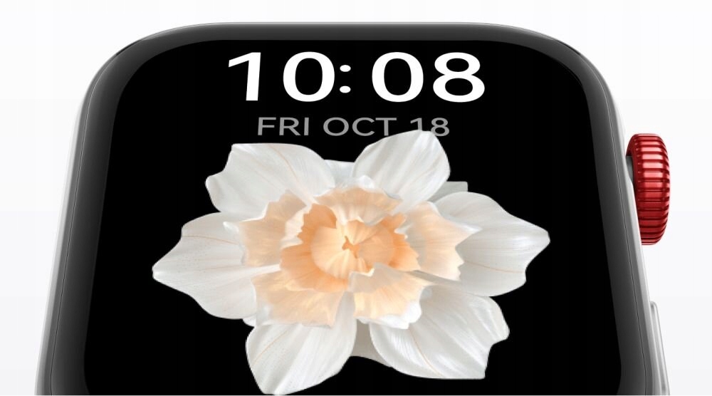 Smartwatch HUAWEI Watch Fit 3 Szary Złącza brak
