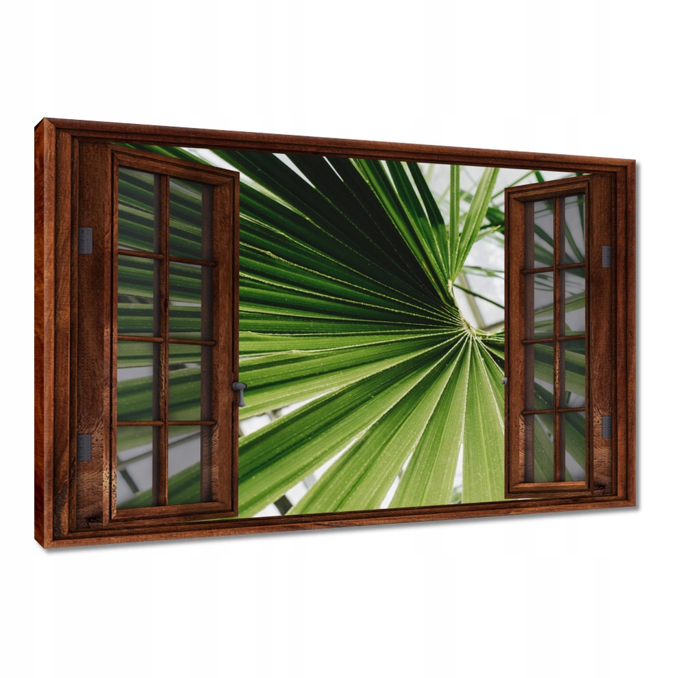 

Obrazy 120x80 Palma Liście Liść