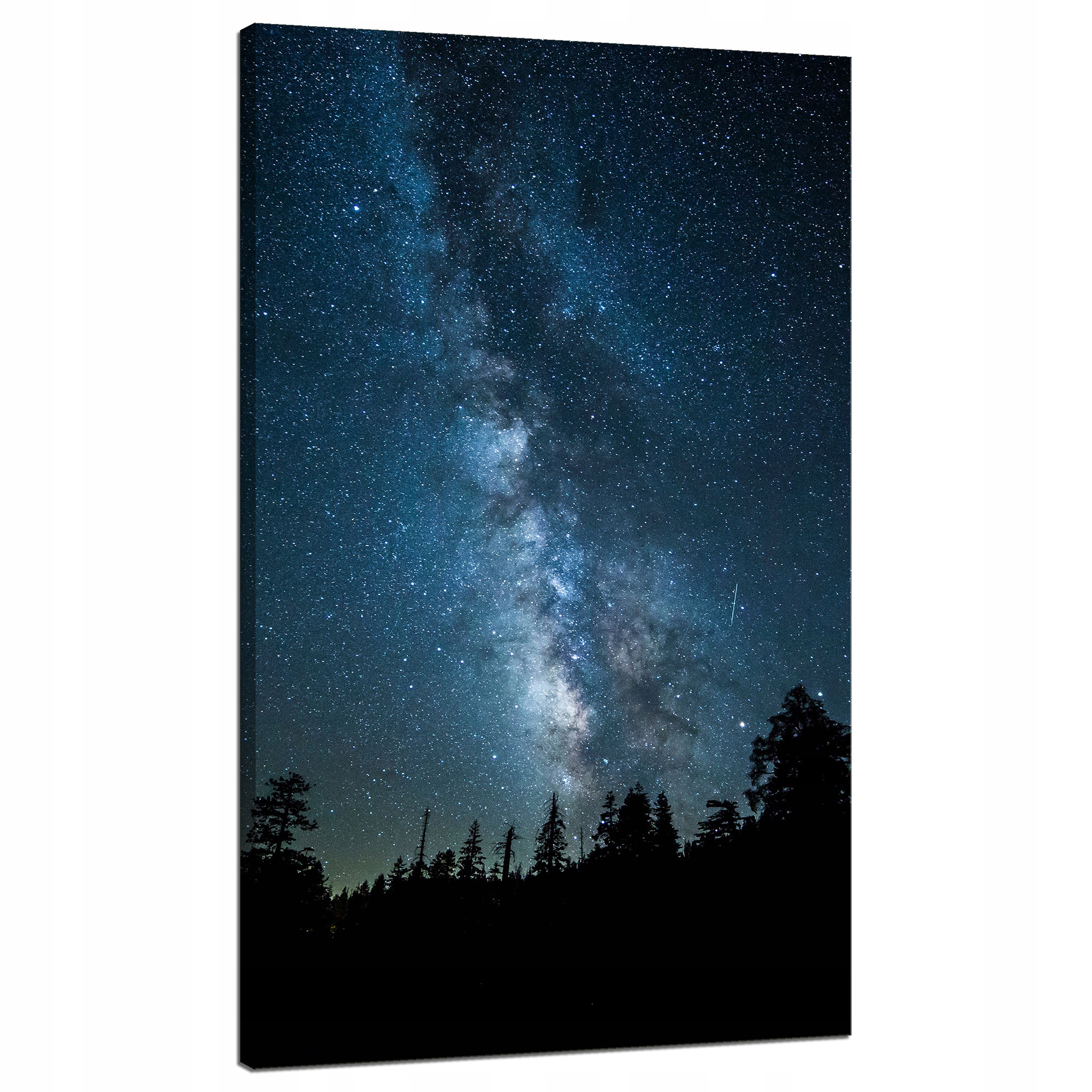 Obraz na plátně Vesmír Noc Les Mlhovina Příroda Astronomie 70x120