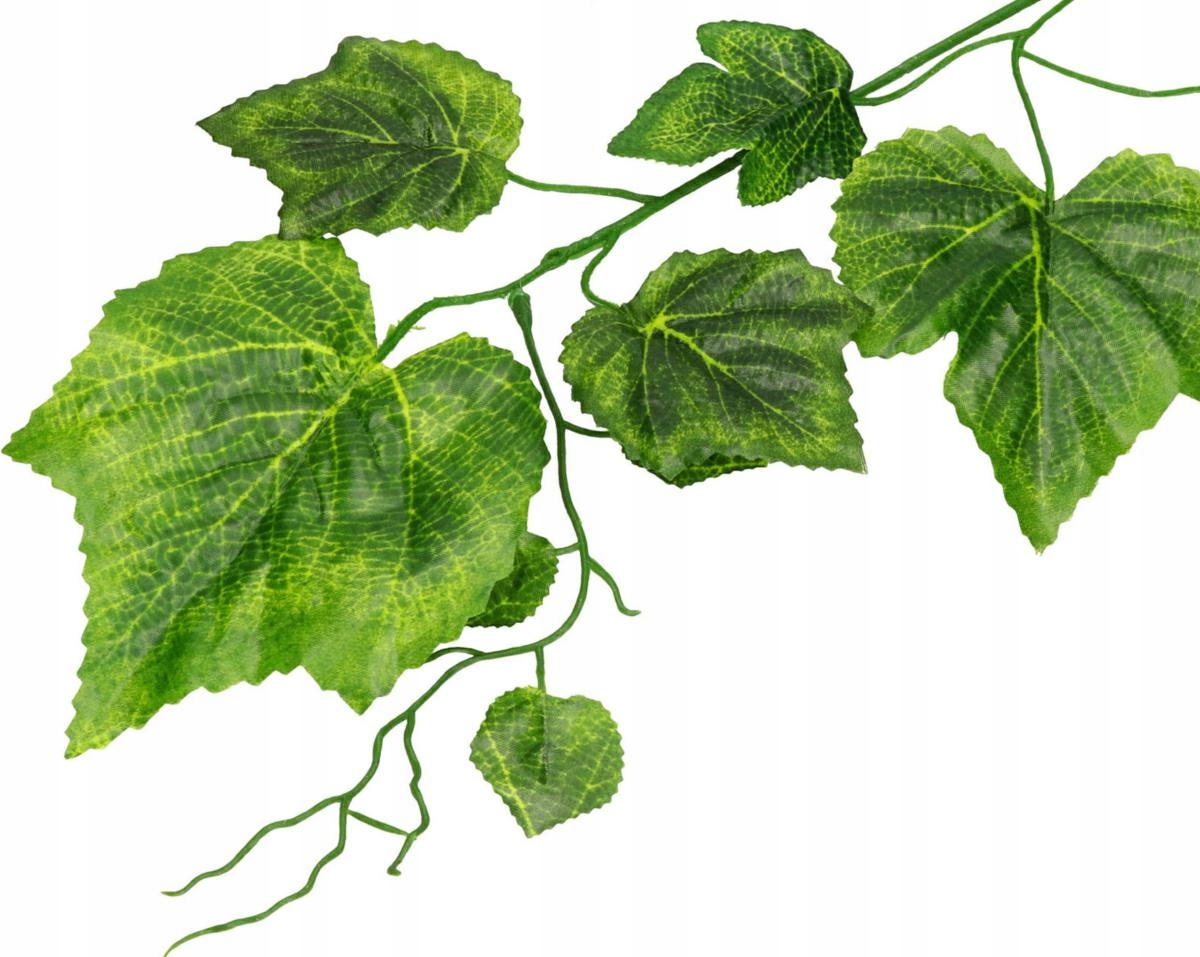 LIŚĆ LIŚCIE WINOGRON WINOROŚLI GAŁĄZKI ŁODYGI DO STROIKÓW NA FLORET 12szt Kod producenta LIŚCIE WINOGRON WINOROŚLI 60cm
