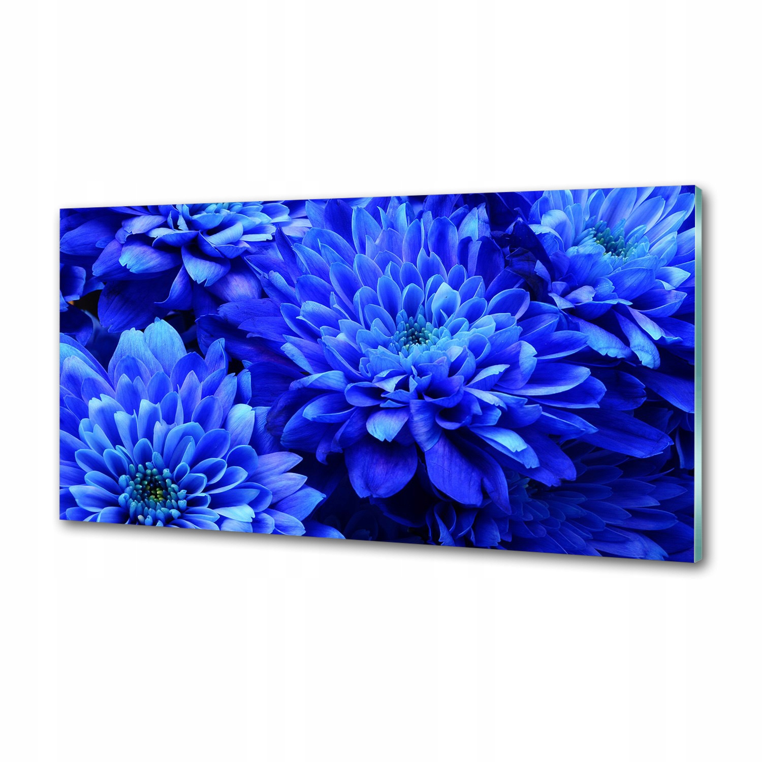 Panel do kuchyne Modrý aster 120 x 60 cm Lepidlo