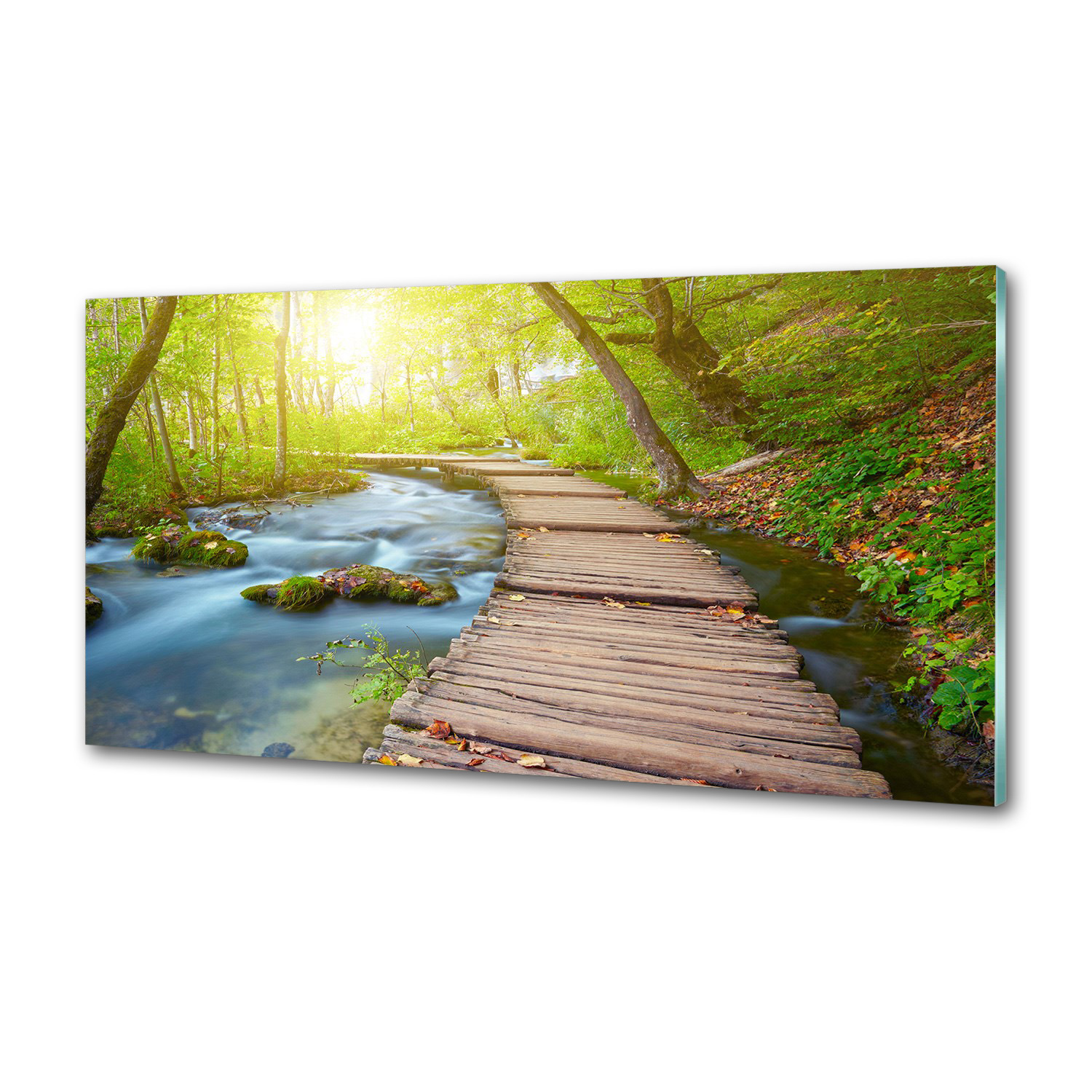 Panel do kuchyne Cesta v lese 100x50 cm Lepidlo