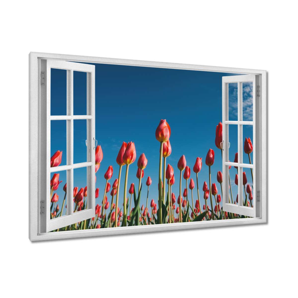 Obrazy 120x80 Tulipány Krajina Tulipány