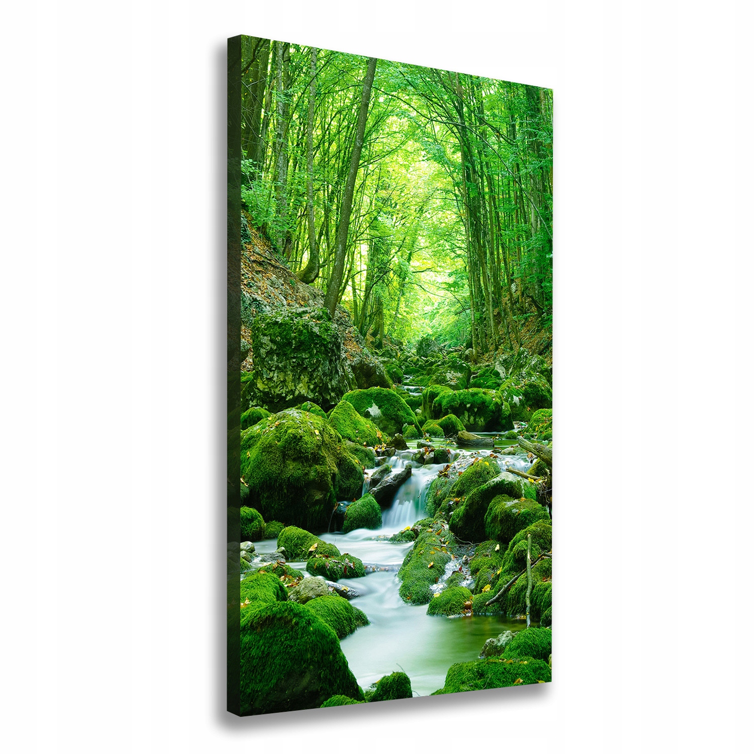 Fotoobraz obraz na plátně Potok v džungli 60x120 cm