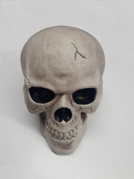 

Czaszka Ozdoba Straszna Halloween 20 cm Czacha