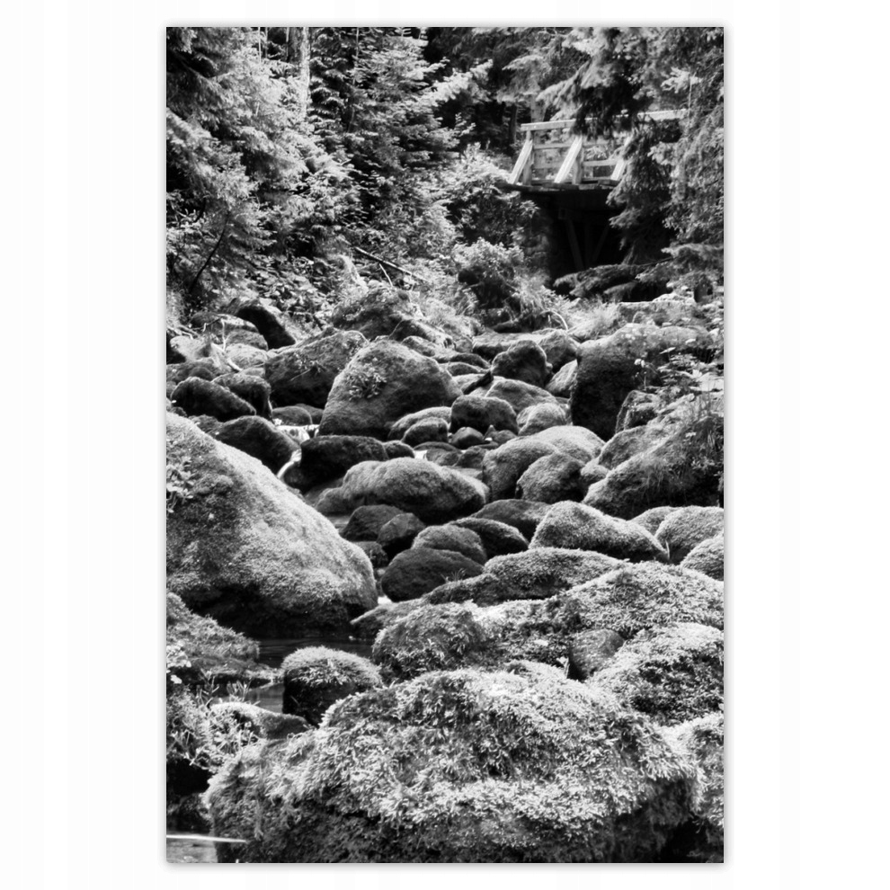 

Plakaty 62x93 Tatry Polskie góry Widok