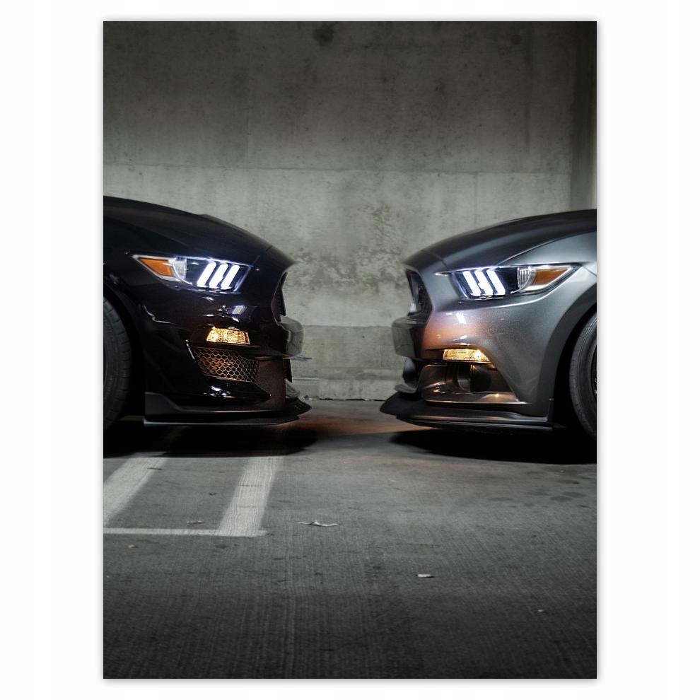 

Plakat 30x40 Ford Mustang made in Usa