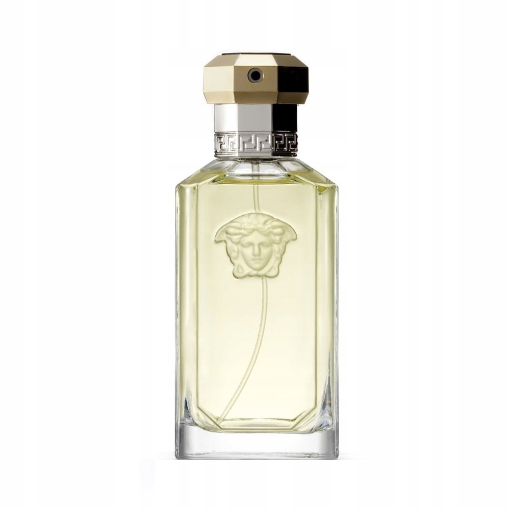 Versace The Dreamer Toaletní voda 100 ml