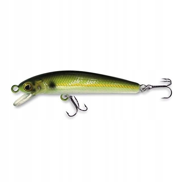 Wobler Robinson Rickie 50mm 2,5g 0-0,5m 46-1RC-F50-TE