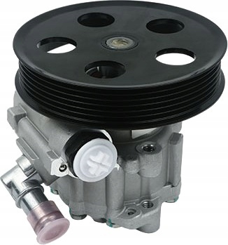 B13214 - Borsehung бустерный насос