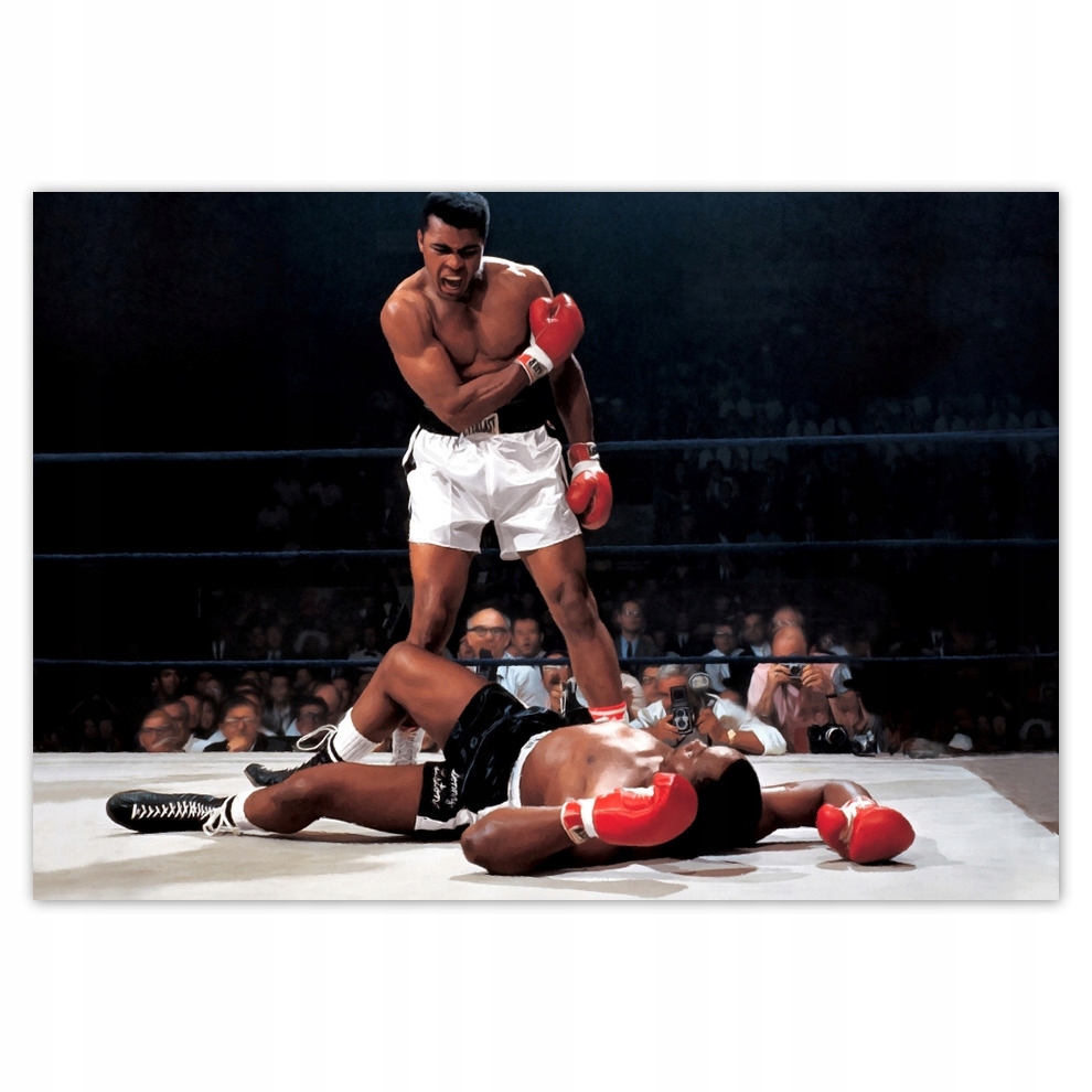 Fototapety vliesové 368x254 Muhammad Ali Bokser