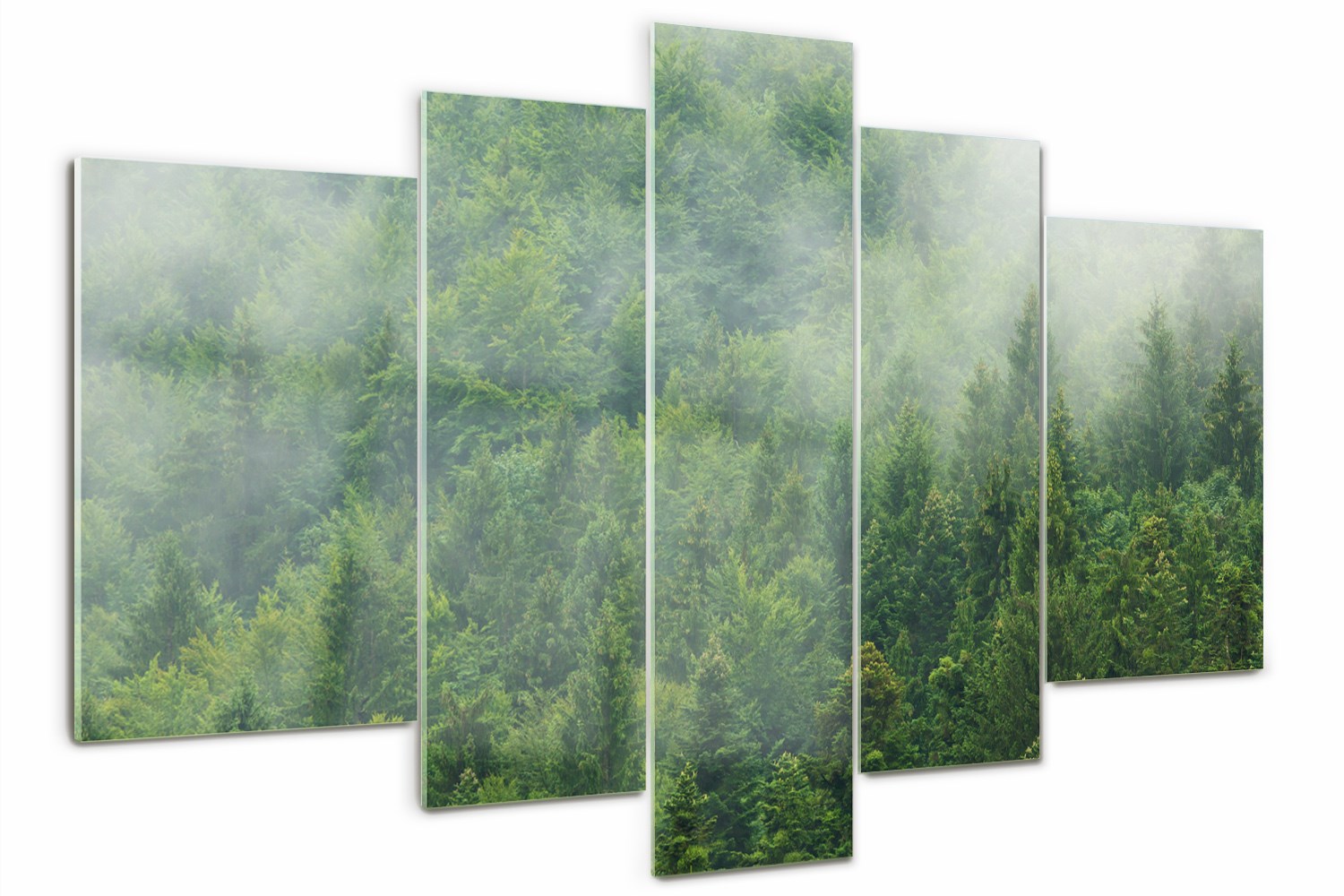 Foto Obraz skleněný velký triptych Tajemný les