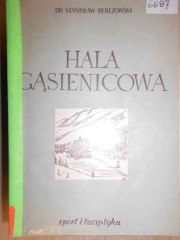 Hala Gąsienicowa - Berezowski