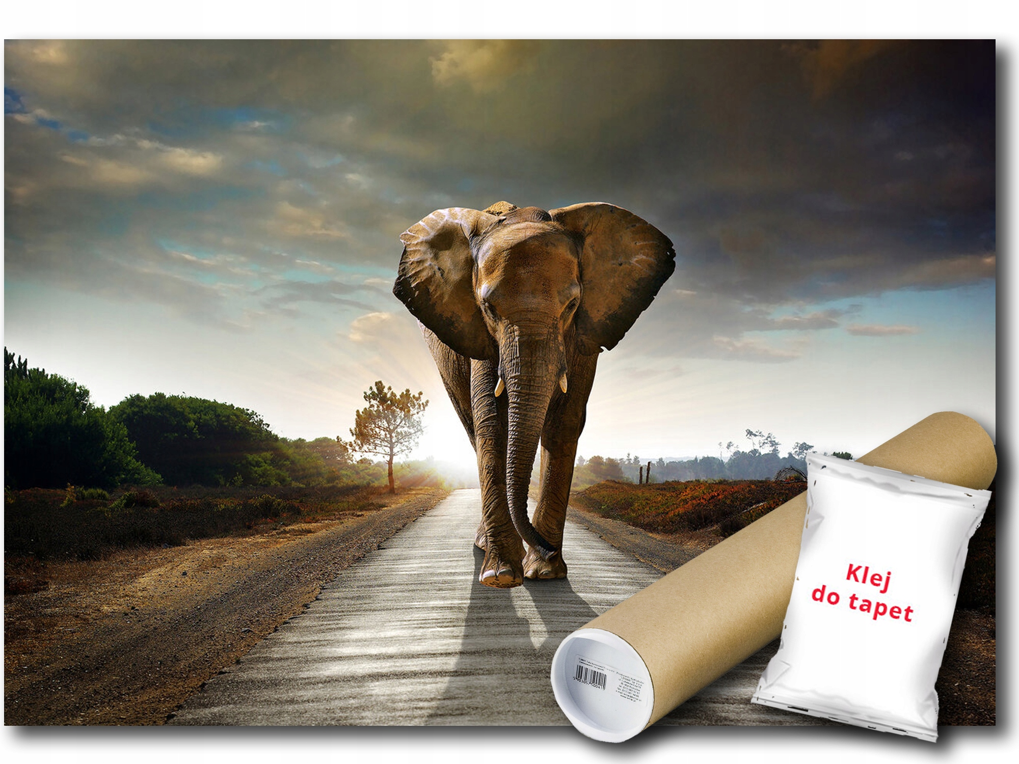 Vinylová Fototapeta Slon Cesta Prechádzka Zviera Fauna Natura 312x219