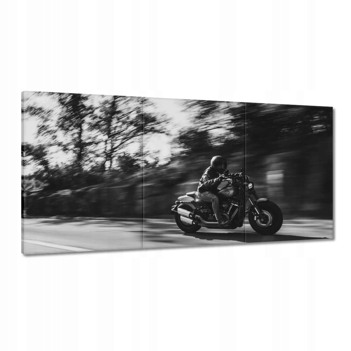 Obrazy 180x90 Harley Davidson Motocykel