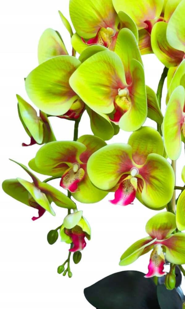 SZTUCZNY STORCZYK ORCHIDEA 3 pędy KOMPOZYCJA KWIATOWA 60 CM 3pgz Rodzaj kwiaty doniczkowe