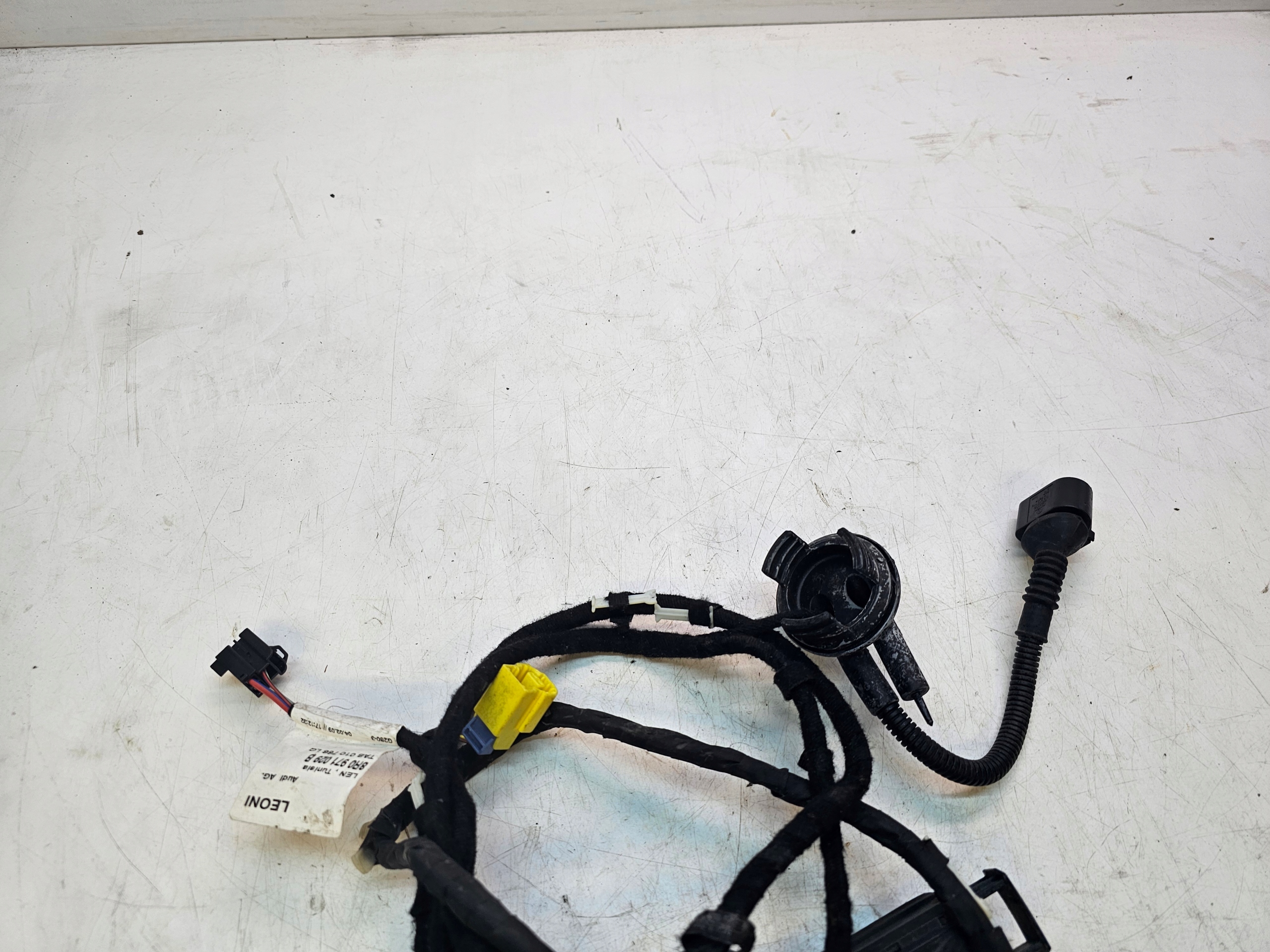 bundle door left front AUDI Q5 8R0971029B