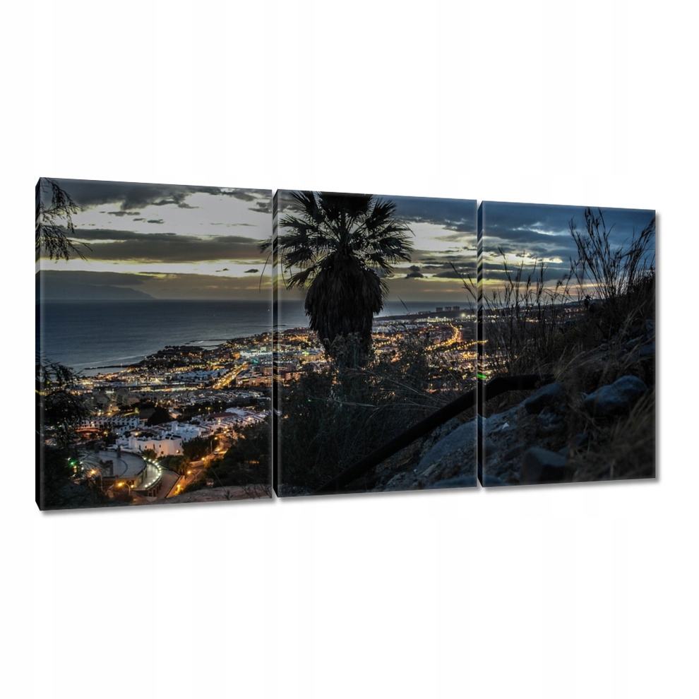 

Obrazy 120x60 Krajobraz palmą