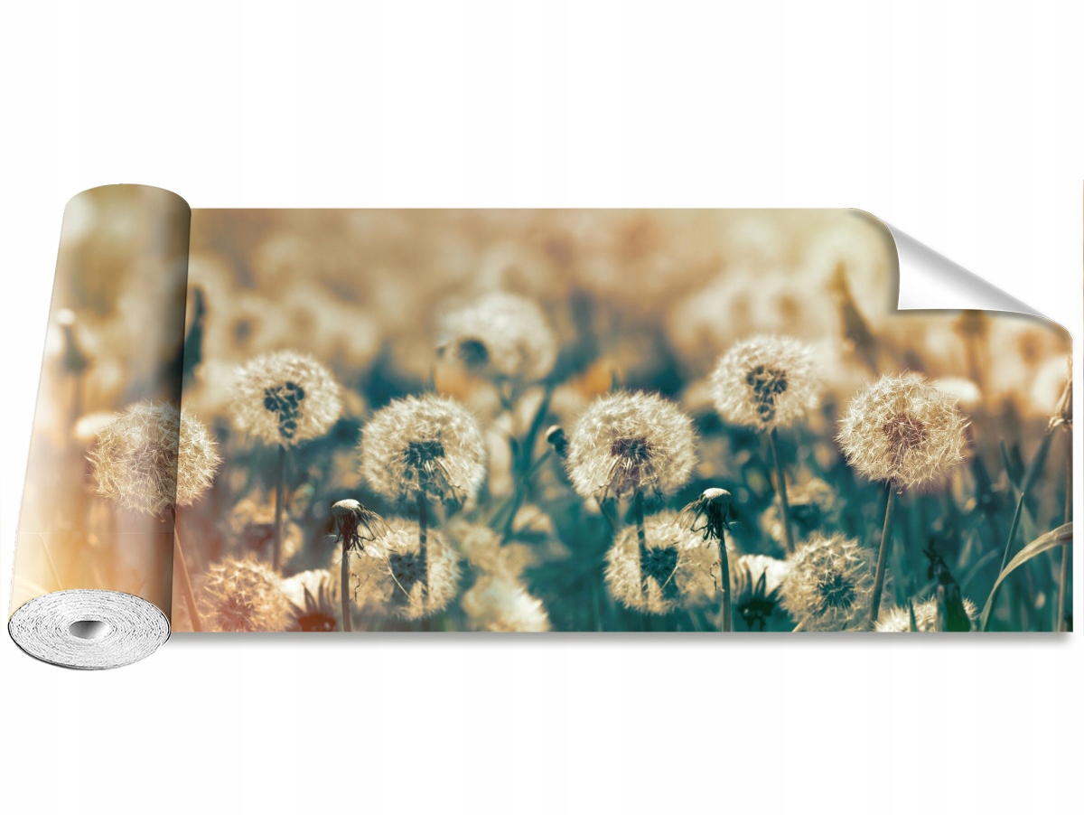 

Tapeta Samoprzylepna Dmuchawce Łąka 250x104