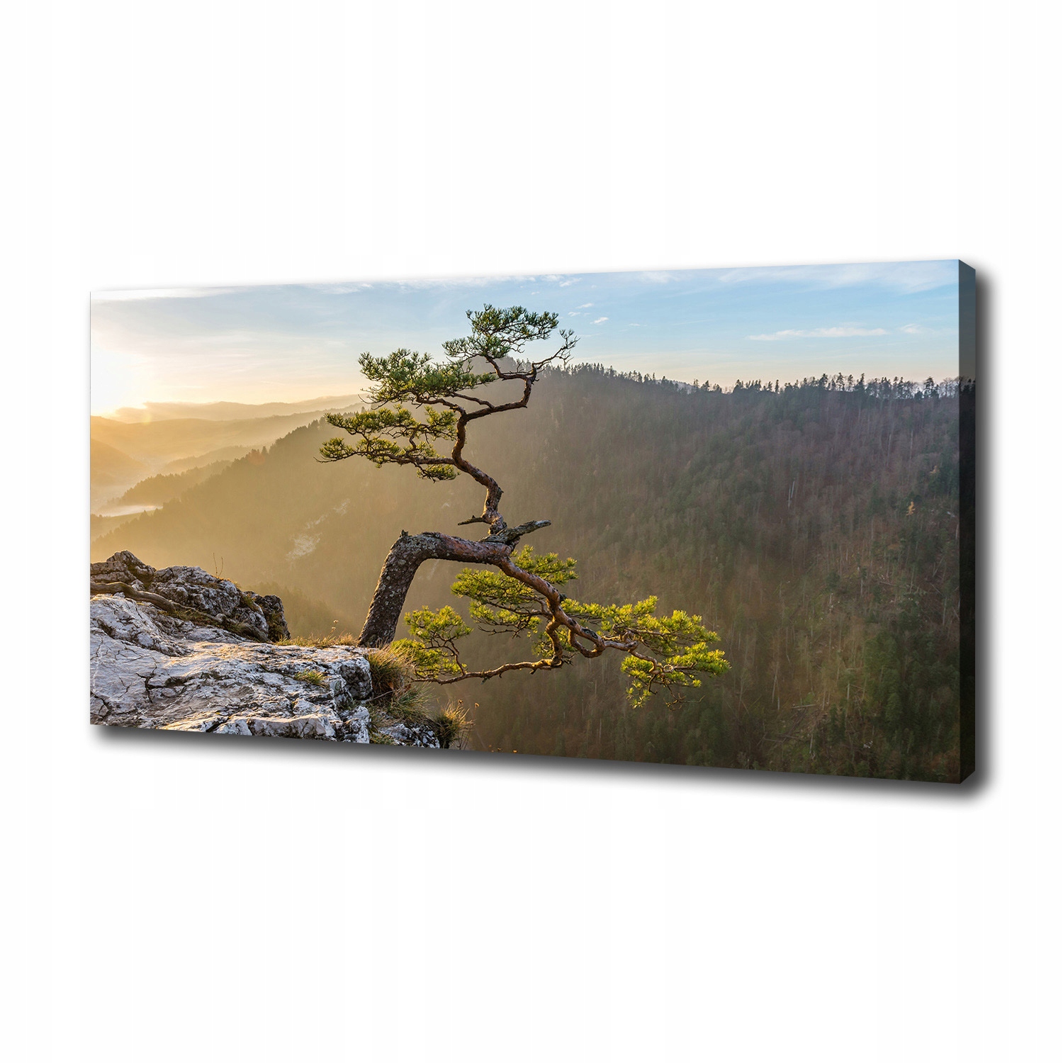 

Foto obraz na płótnie Sokolica Pieniny 100x50 cm