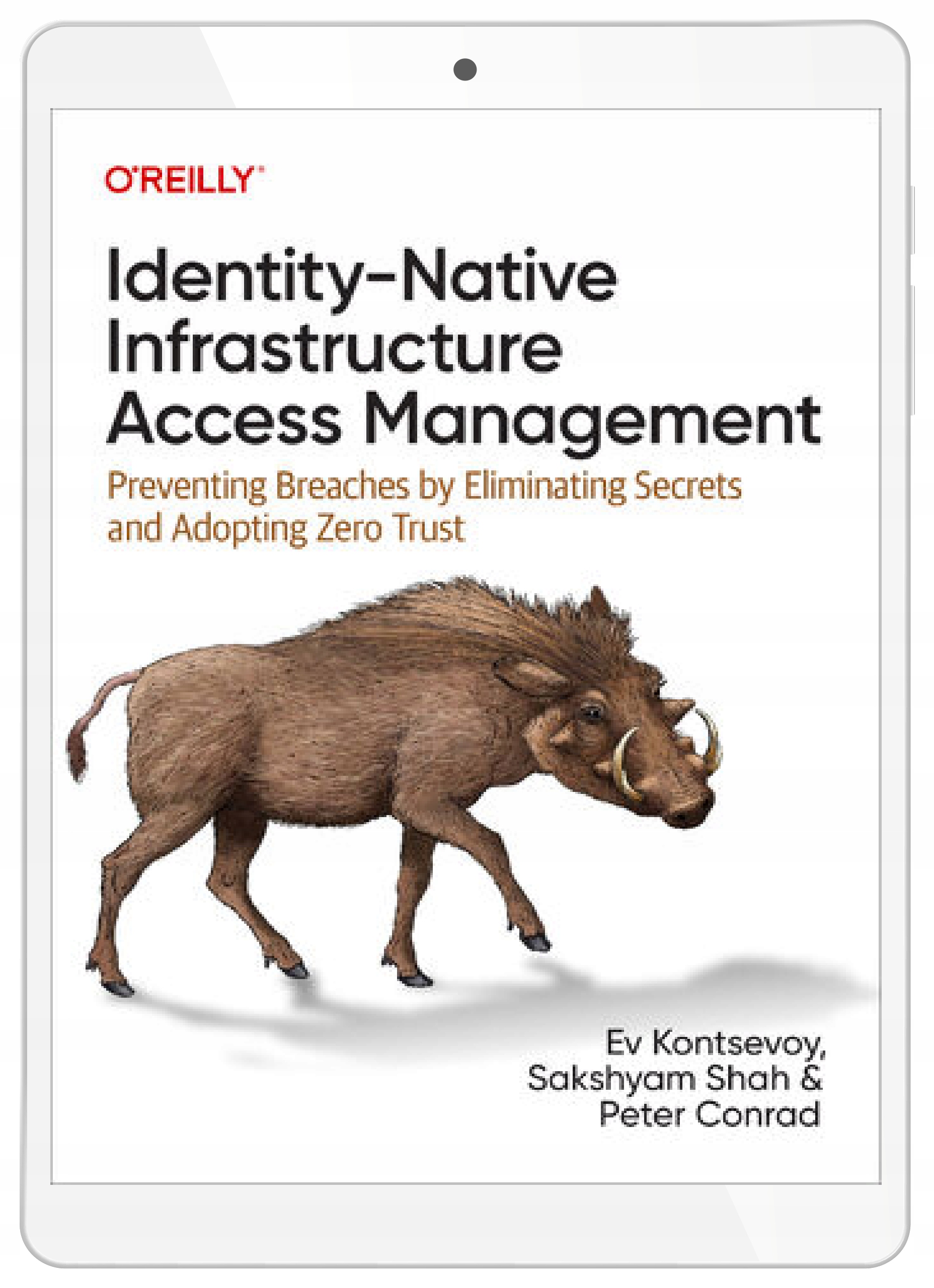 Identity-Native Infrastructure Access Management