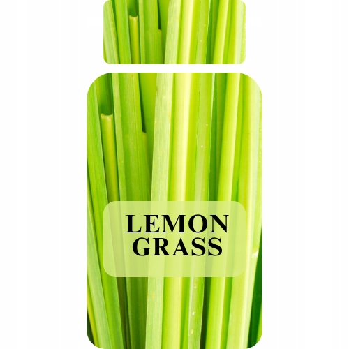 Levně Olej do difuzéru Tráva Citronová 100 ml – svěží, přírodní vůně