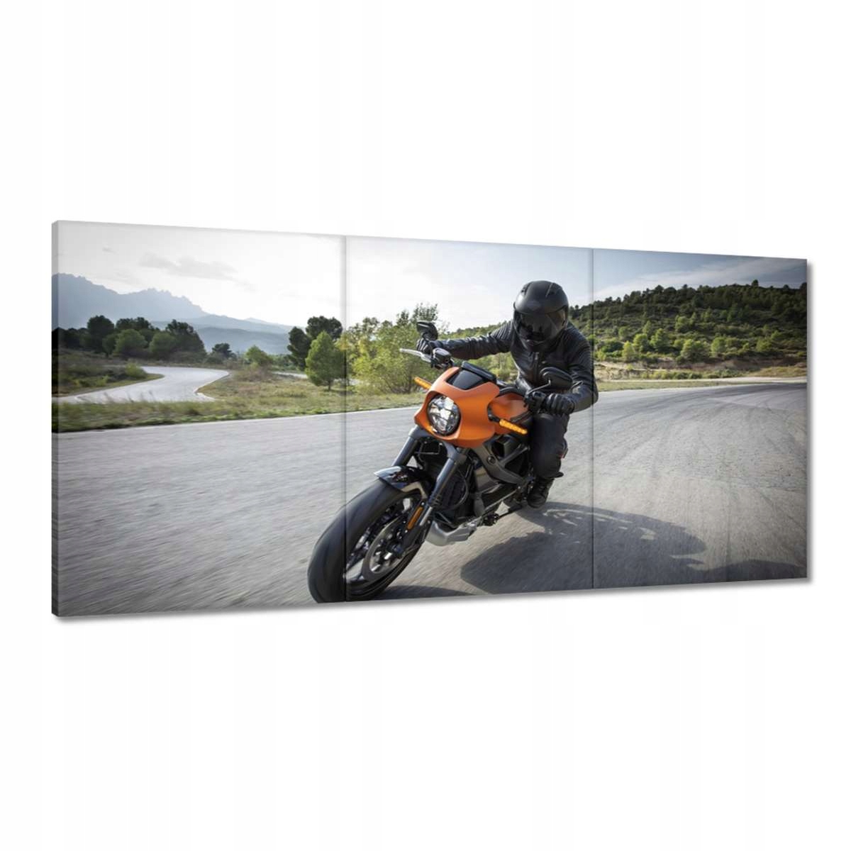 Obrazy 180x90 Harley Davidson Motocykel