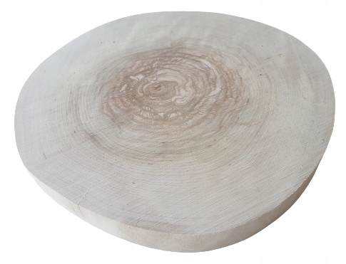 Plastry drewniane krążki brzoza Bez Kory 20-23 cm