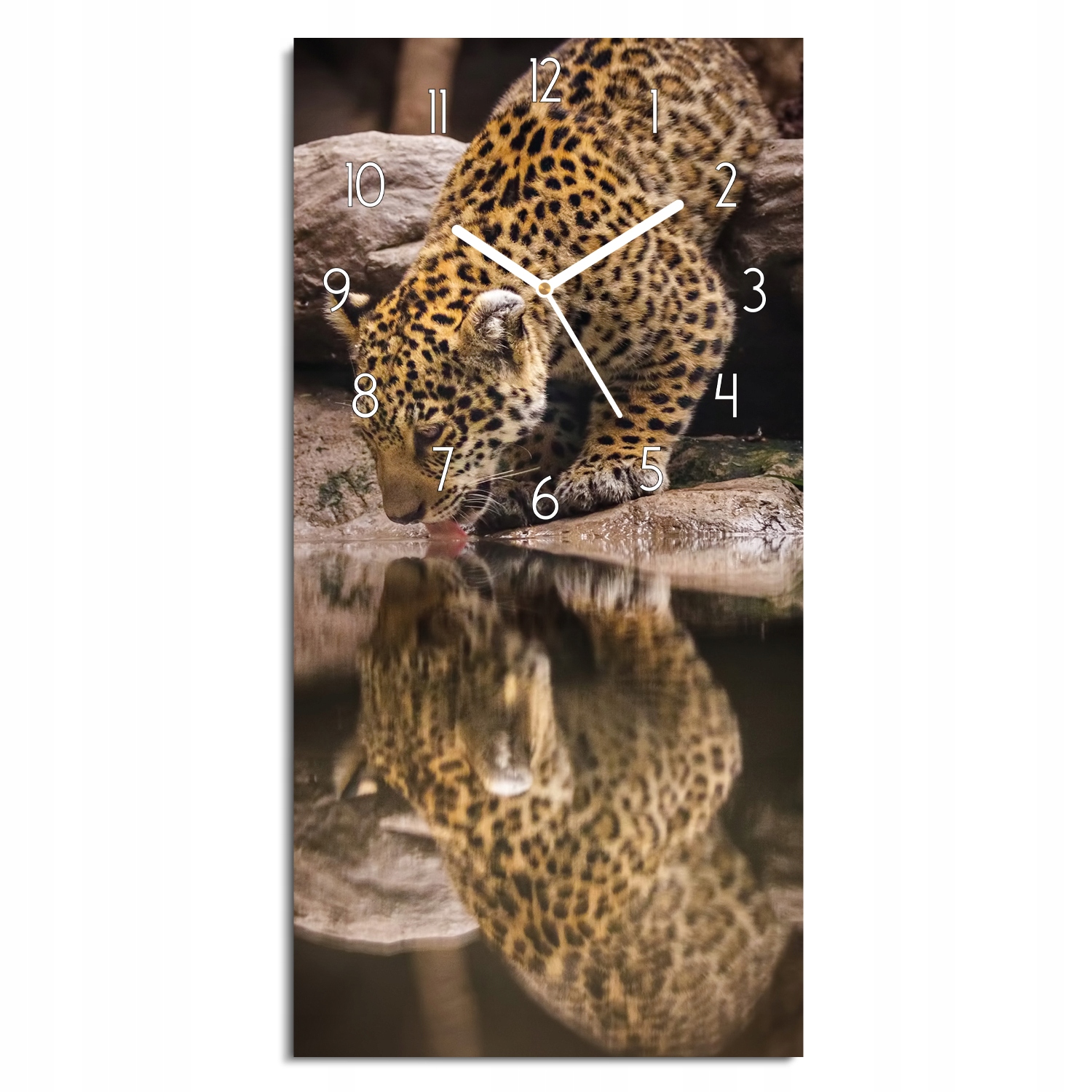 

foto-zegar Jaguar woda skała biurowy 30x60 ozdobny