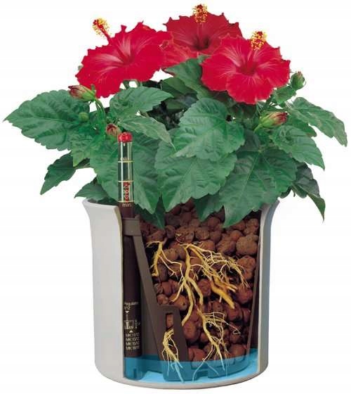 LENI Doniczka Hydroponika Zestaw Wkład i Wskaźnik 13x12 Marka Leni