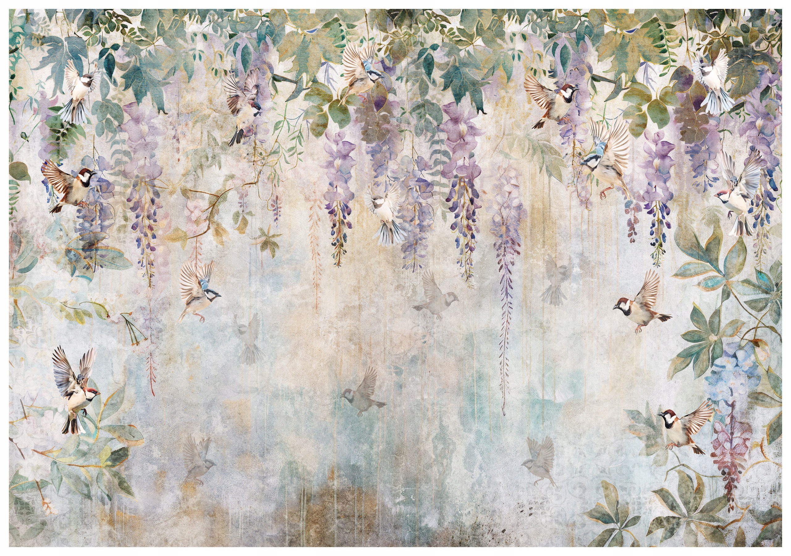 Vliesová fototapeta Wisteria a vrabci ptáci květiny vintage 416x290 lepidlo