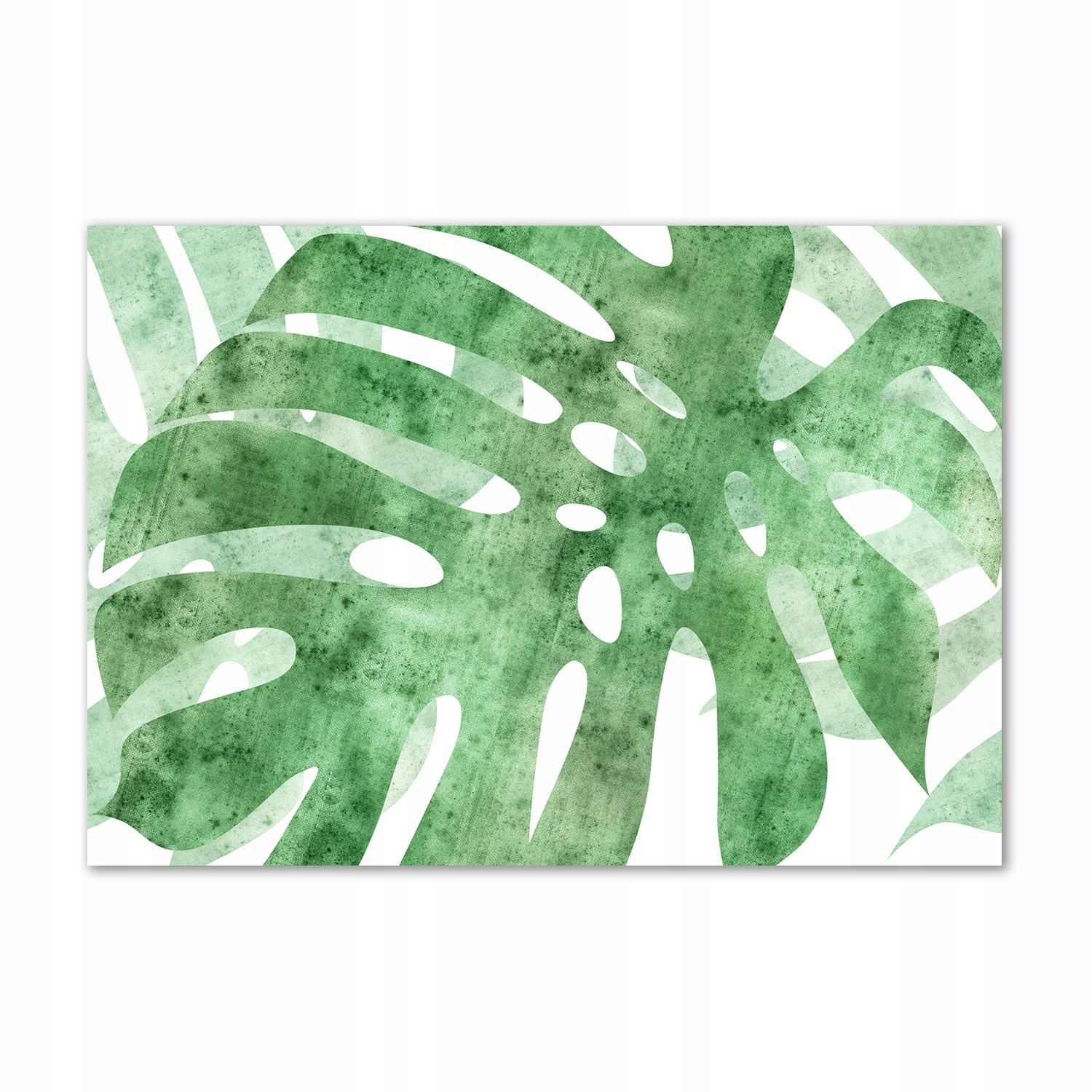 

Obraz zdjęcie na ścianę akryl Monstera 100x70 cm