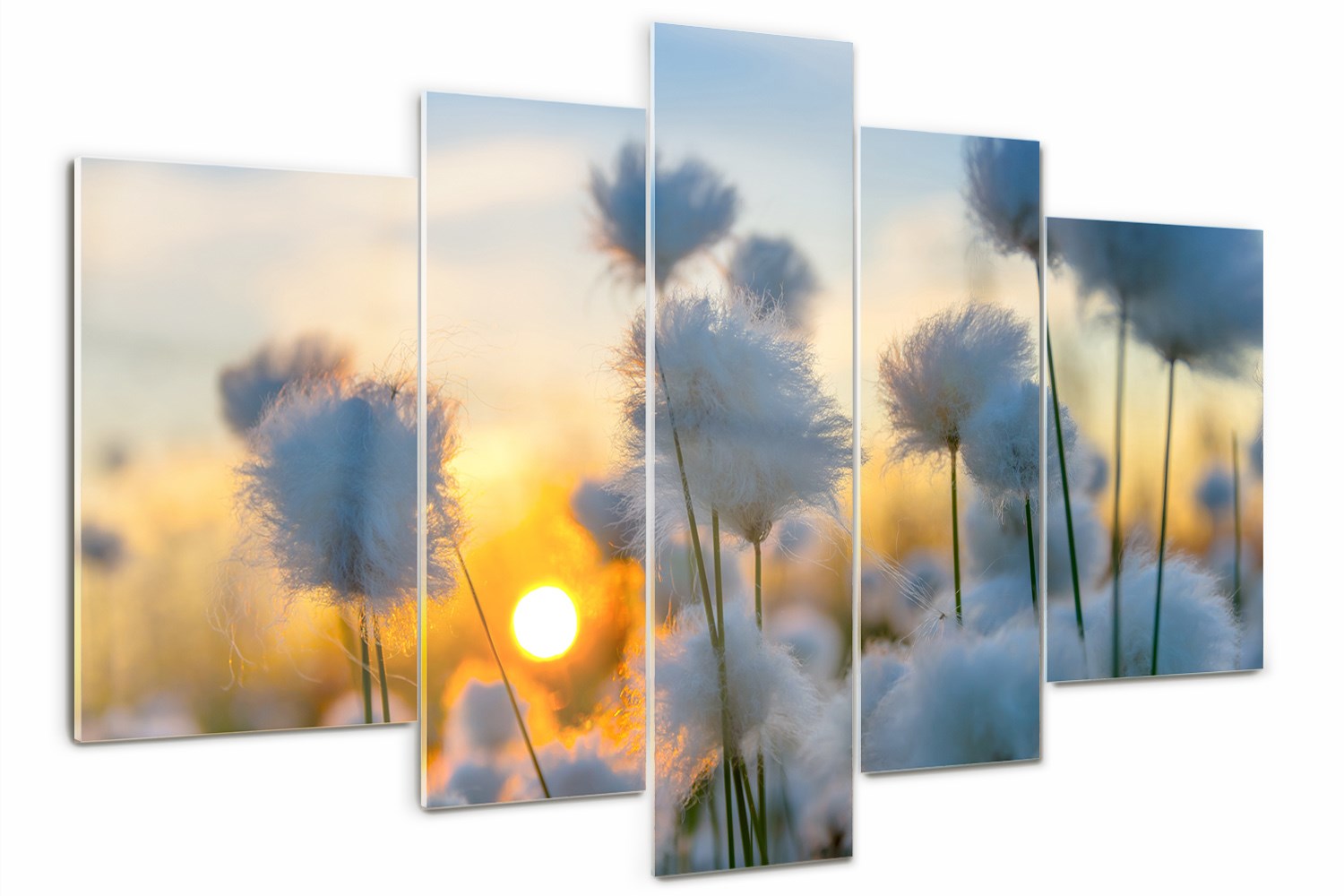 

Foto Obraz szklany tryptyk nowoczesny Wełnianka