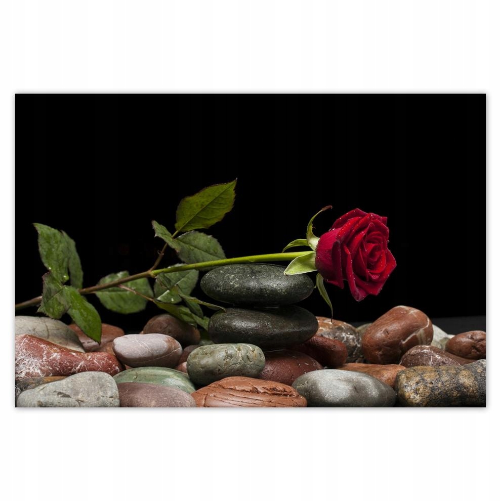 

Plakat 93x62 Spa Wellness Relaks Woda
