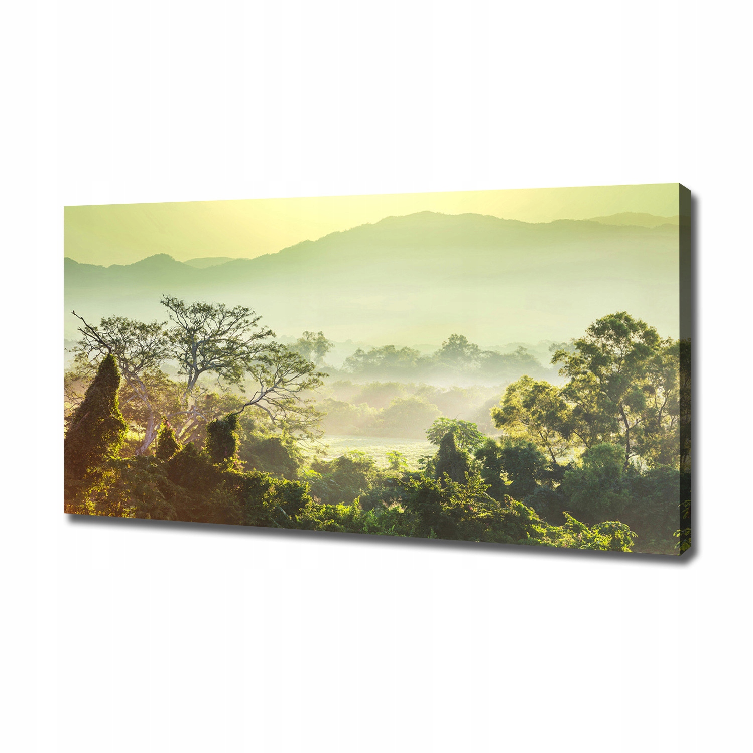 

Foto obraz canvas na ścianę Dżungla 120x60 cm