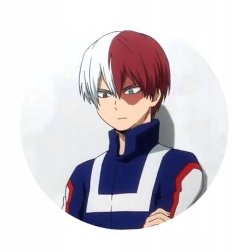 Przypinka Boku no Hero Academia Todoroki wzórr2