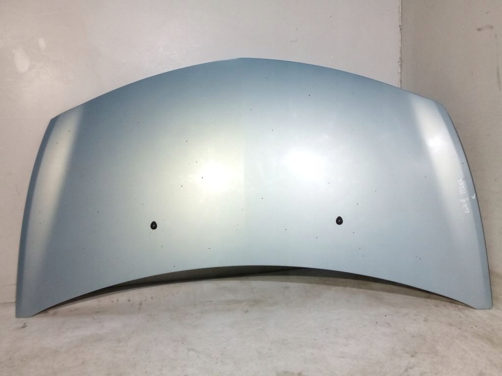 Renault Clio III 3 Cofano TERNK