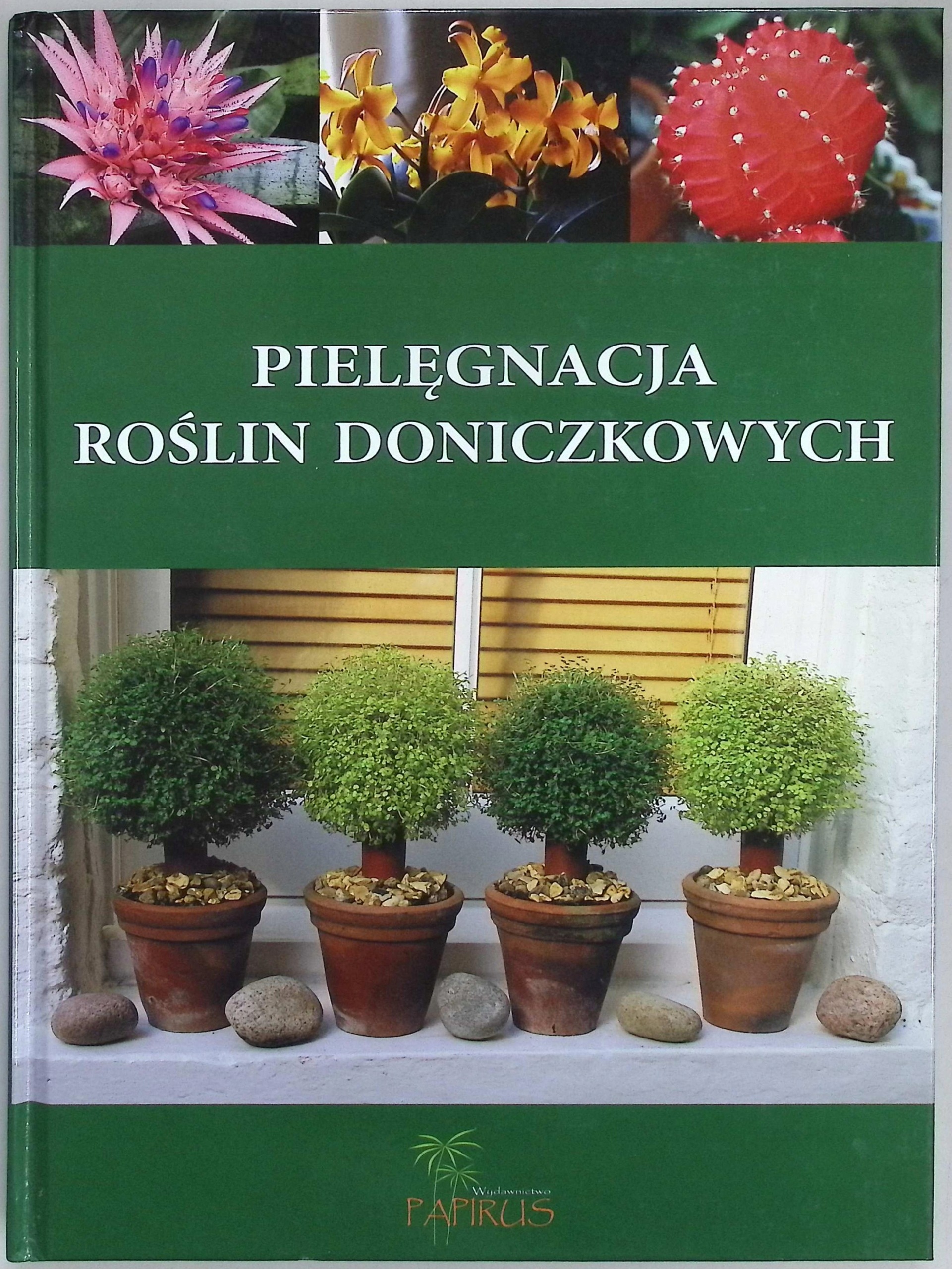Pielęgnacja roślin doniczkowych - Praca zbiorowa