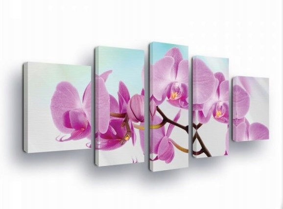 Obraz 170x100 Orchidea kvety jemnosť elegancia príroda ružová fialová