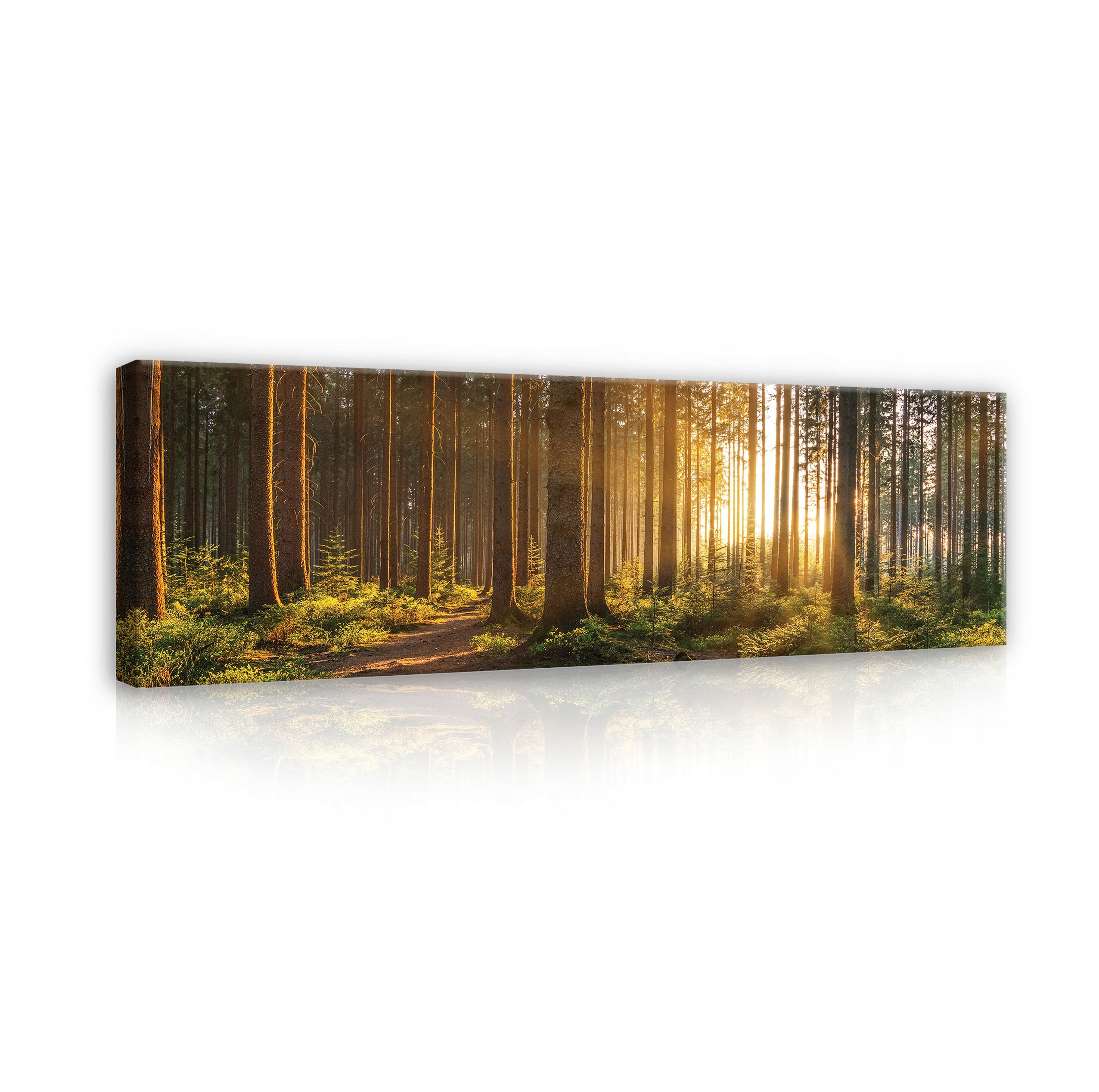 

Obraz Las Na Płótnie Ścianę Do Salonu XXL 145x45