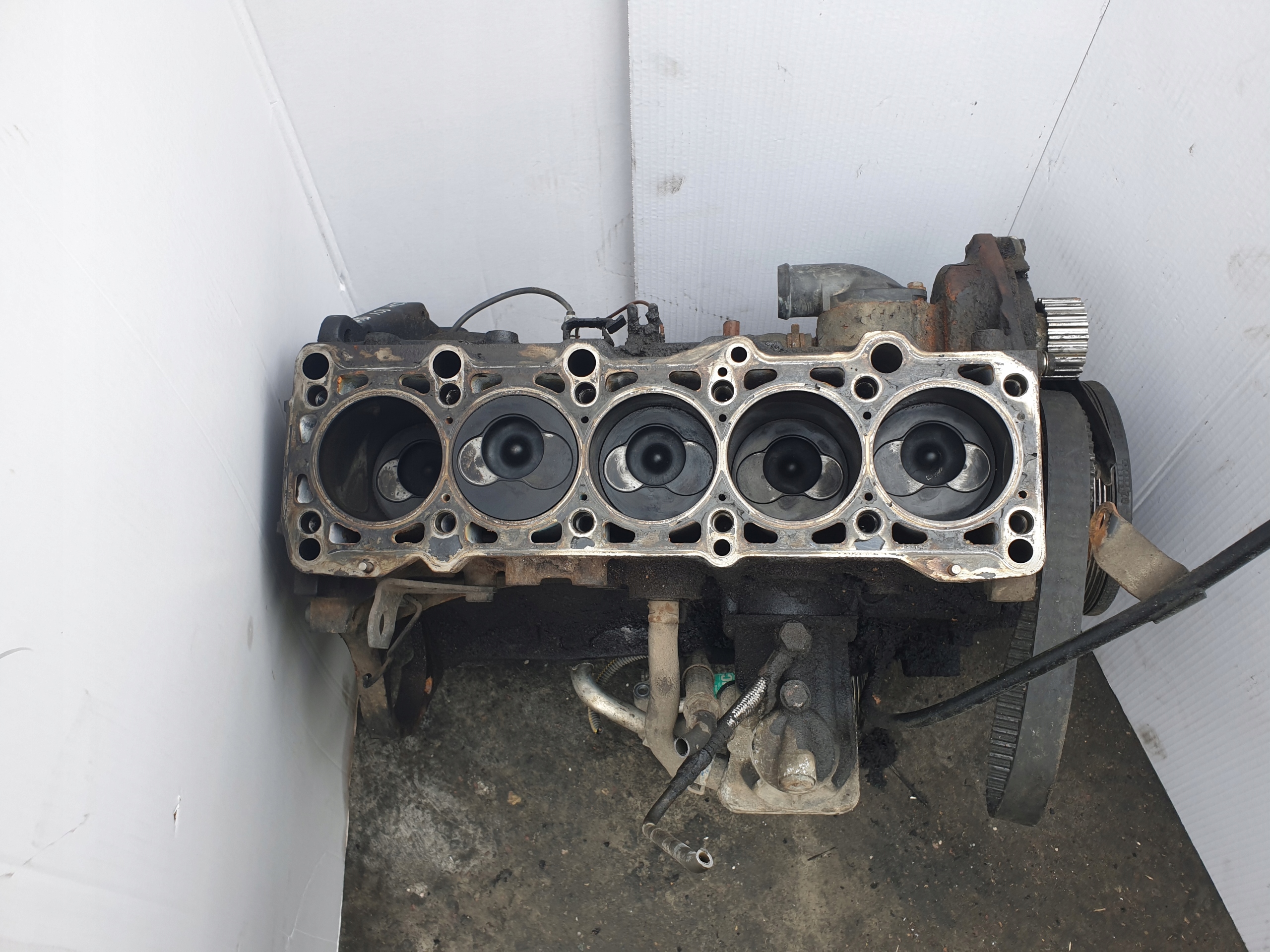 BLOK DÓŁ SILNIKA VW T4 2.5 TDI 102 KM ACV Numer katalogowy części ACV