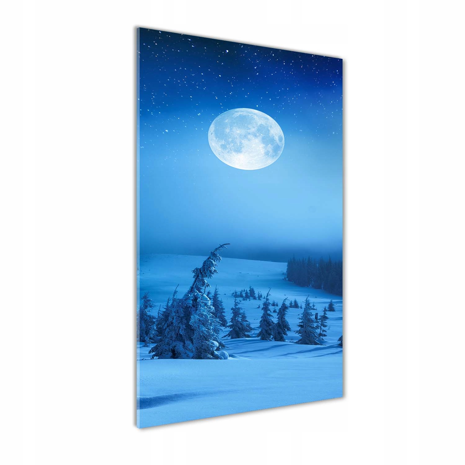 Fotoobraz na skle vertikální Úplněk 60x120