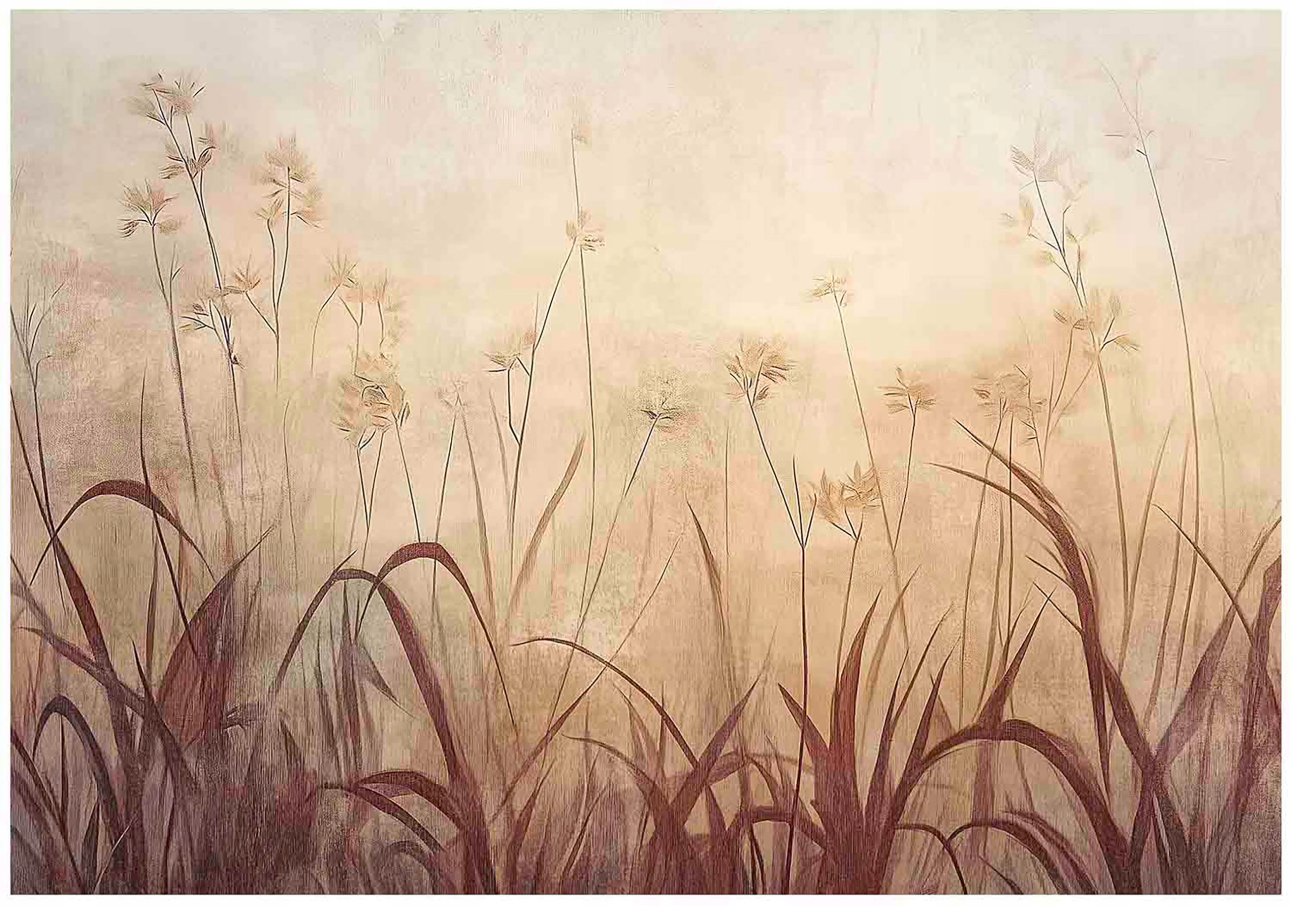 Fototapeta Béžová Tráva Listy Kvety Lúka Boho Sepia Natura 400x280