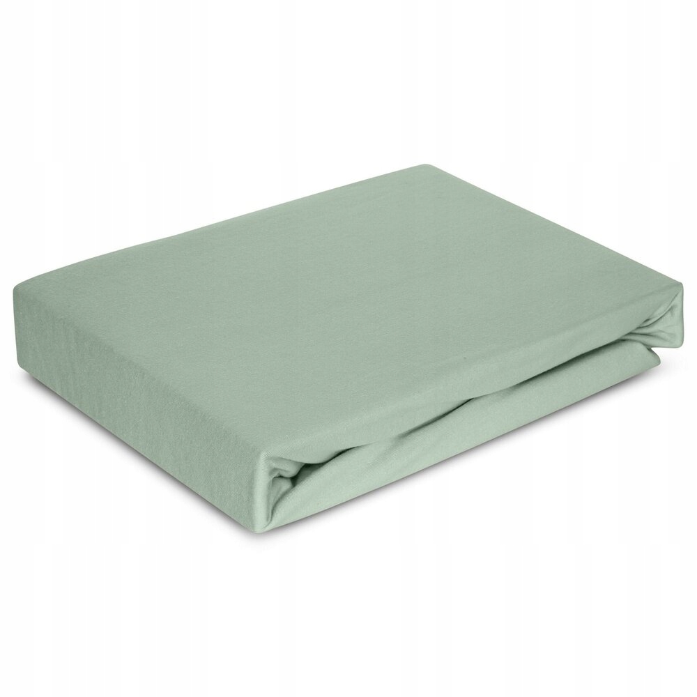 Prostěradlo jersey s gumičkou Premium 200x220 Eurofirany mátové