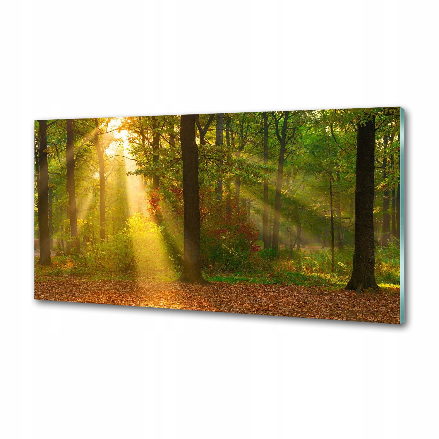 Panel dekor sklo Les na slnku 120x60 cm Lepidlo