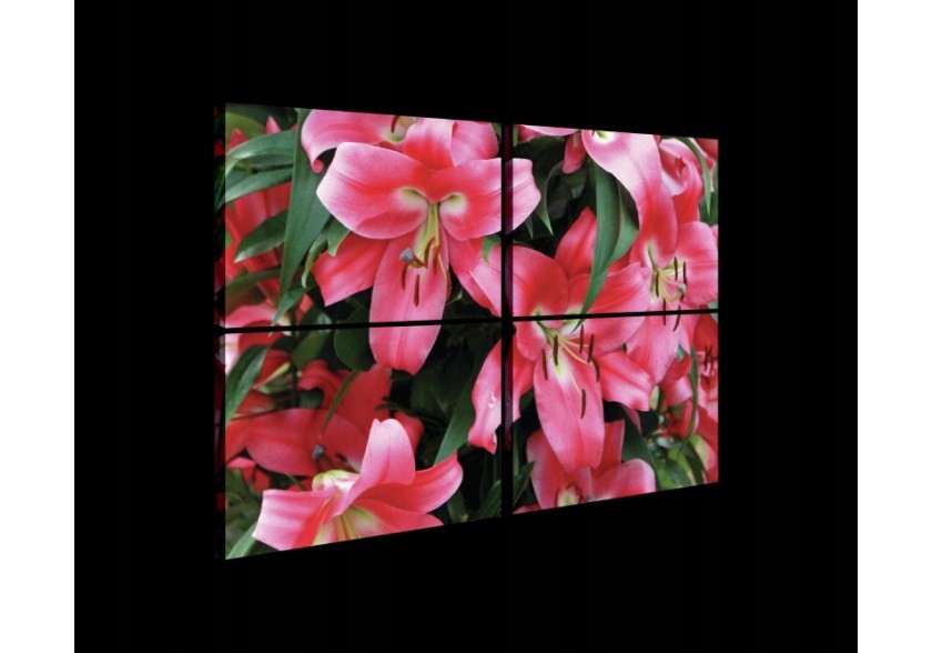 Obraz 120x80 Lilie ružové kvety na stenu príroda elegancia leto