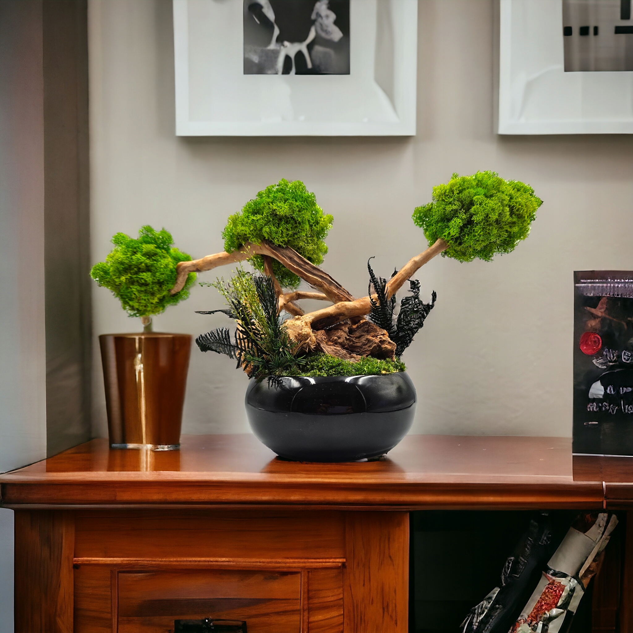 Drzewko z mchu chrobotek BONSAI SPA czarna misa BEZ PODLEWANIA egzotyczne Forma w doniczce, pojemniku
