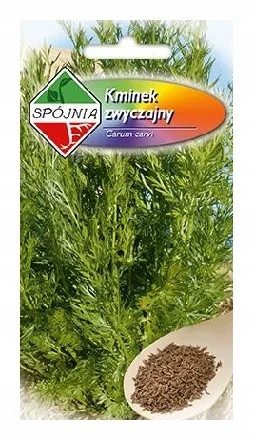SPÓJNIA nasiona Kminek ogrodowy